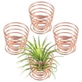thumbnail image 1 of Uxcell 4-Pack Soportes para Plantas Aéreas de Primavera, Soporte de Metal 1014 para Pequeñas Plantas de Interior y Exterior [Oro Rosa, 2.1" H], 1 of 6