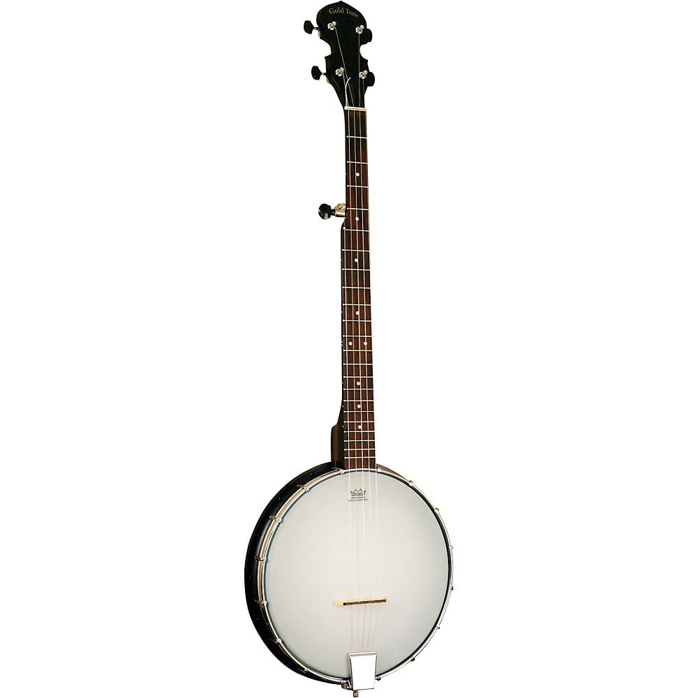AC-1 Long Neck 5-String Openback Banjo