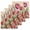 Red, variant on Burnt Orange Spring Floral Kitchen Dish Towels for Drying Dishes Set of 3, Summer Botanical Tulip Vintage Waffle Weave Microfiber Hand Tea Bathroom Towels Quick Dry & Absorbent Towel 15.7x23.6