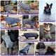 thumbnail image 5 of Chaqueta para perro cyeollo, de forro polar, ligera y reflectante, para talla mediana, 5 of 6