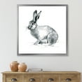 thumbnail image 3 of Designart 'Black and White Portrait Of Rabbit' Farmhouse Framed Art Print, 3 of 4