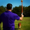 thumbnail image 5 of Chuckit! Pro 25M Dog Ball Launcher Dog Toy, 25" with Medium 2.5" Ball for Dogs 20 to 60 lb, Assorted, 5 of 8