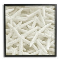 Nautical White Starfish Photography Coastal Photograph Black Framed Art Print Wall Art