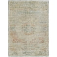 thumbnail image 2 of Addison Rugs Chantille Indoor/Outdoor Traditional Global Tan Washable Rectangle Rug, 2'6" x 3'10", 2 of 6
