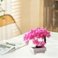 thumbnail image 4 of SHIMELE Artificial Bonsai Tree Decor, Mini Fake Plants, Faux Potted Greenery, Artificial Desk Plant, Small Indoor Decorative Plant, Tabletop Home Office Bedroom Living Room Decoration, 4 of 6
