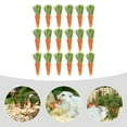 thumbnail image 6 of 18 Pcs Bunny Chew Carrot Teething Sticks Practical Pet Toys 7X5X3CM, 6 of 8