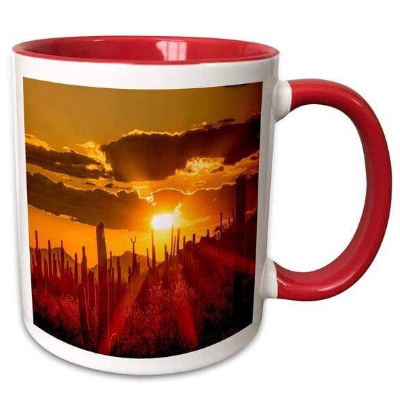 3drose, Usa, Arizona, Tucson, Saguaro National Park, 15oz Two-tone Red Mug
