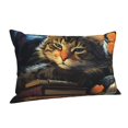 thumbnail image 2 of Cat Sleeping Bookshelf Books Art Pillowcase 14x20 Rectangle Throw Pillow Case Cover Cushion with Hidden Zipper for Sofa Couch Car, 2 of 2