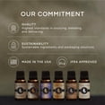 thumbnail image 4 of Set de aceites aromáticos Eternal Essence Relaxation 6 x 10 ml, 4 of 6