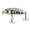 Color 4, variant on BIMZUC Premium Mini Fishing Lure Bait Sinking Minnow Crankbait Hard Bait 1.65 inches / 4.2 cm 0.11 oz / 3.1 g Bass Trout Pike Catfish Freshwater Saltwater Fishing Tournament Color 5
