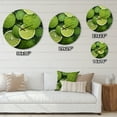 thumbnail image 4 of Designart "Fruit Refreshing Cucumber painting" Food & Beverage Oversized Wall Clock, 4 of 5