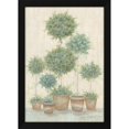 thumbnail image 2 of Annie LaPoint 14x18 Black Modern Wood Framed Wall Art Titled - Tall Topiaries, 2 of 6