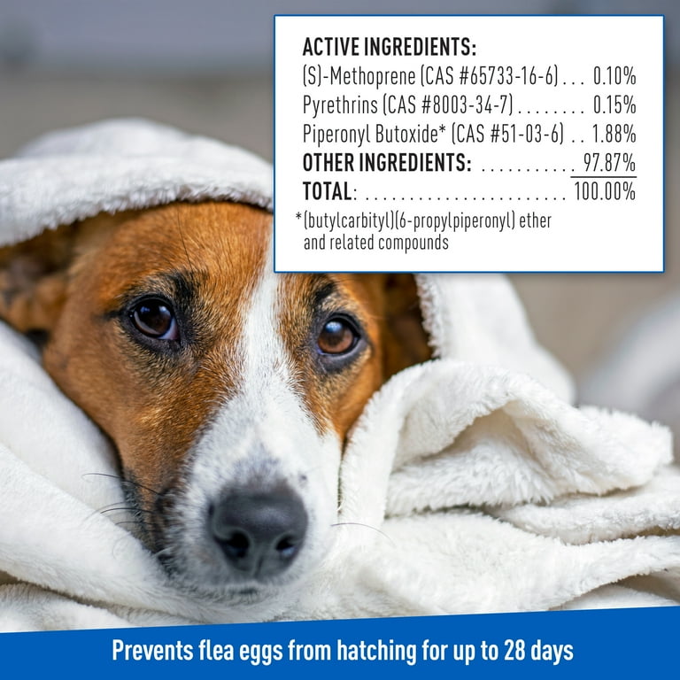 Adams plus flea cheap and tick shampoo reviews