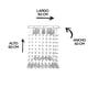 thumbnail image 5 of Candil de Cristal Cortado Gamalux Williams Krystal Cubo de 8 Luces, 5 of 5