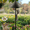 14inch, variant on Squirrel Proof Baffle for Bird Feeders 16 Inch Wrap Around Pole Mounted Guard for Outdoor Garden Bird House Protection