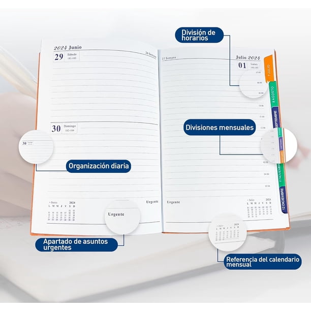 Agenda Digital 2025 Planner 2025 - Agenda 2025, Enero 2025 - Diciembre 2025, Agenda Semanal Y Mensual, Agenda Diaria Agendas Profesionales