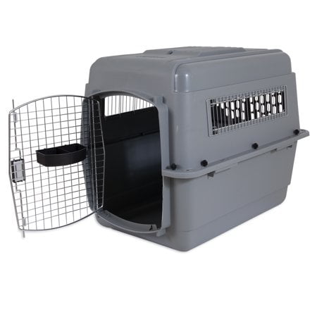 Iata dog 2025 crate requirements