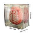 thumbnail image 3 of fastboy 10PCS Coasters Organ Brain Specimen Table Easy to Clean Lightweight Cup Mat Family Bar Room Office Cups, 3 of 8