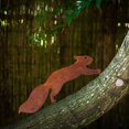 thumbnail image 5 of Tree Squirrel - Metal Garden Ornament - 30cm - Natural Rust Patina, 5 of 5
