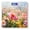 Color3217, variant on High Precision Body Weight Scale Smart Bathroom Scales with Large LCD Display(400lbs),Decorative for Bedroom-Colorful Sea Turtle Swimming In The Deep Ocean