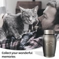 thumbnail image 2 of Becaristey Small Occupation Ashes Urn With Metal Luster For Portable Impact-resistant Cremation Ashes Urns, 2 of 6