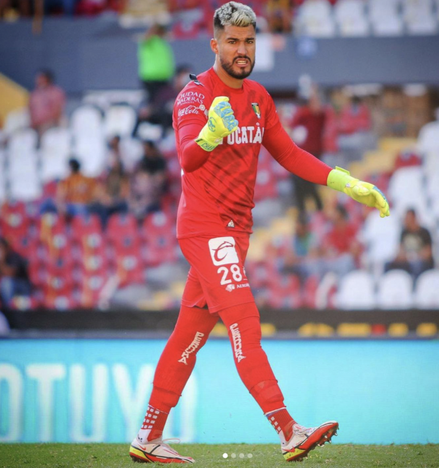 Playera Deportiva Camiseta Blanca Lycra Hombre Playera Deportiva