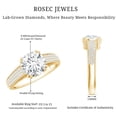 thumbnail image 6 of Rosec Jewels Lab Grown Diamond Engagement Ring with Side Stones - 2 Ct - 8 mm - EF-VS Quality, 18K Yellow Gold, US 10.00, 6 of 9