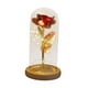 thumbnail image 1 of Eternal Flowers Flower Decor Tabletop Home En Cúpula Redonda Con Luces De Hadas Rojo Fernando  Flores eternas, 1 of 8