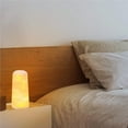 thumbnail image 1 of 3D Printed Led Lamp Night Light 3D Printed Light Touch Control Mood Light Usb Led Light Two-Color For Baby Room Bedroom Party Cafe, 1 of 7