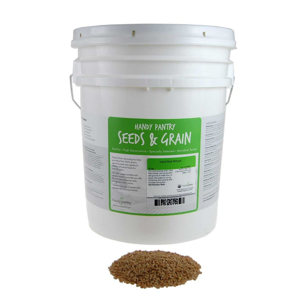 Organic Hard Red Wheat Seed 35 Lb Wheatgrass, Grain & Bread, Food Storage, Ornamental Wheat