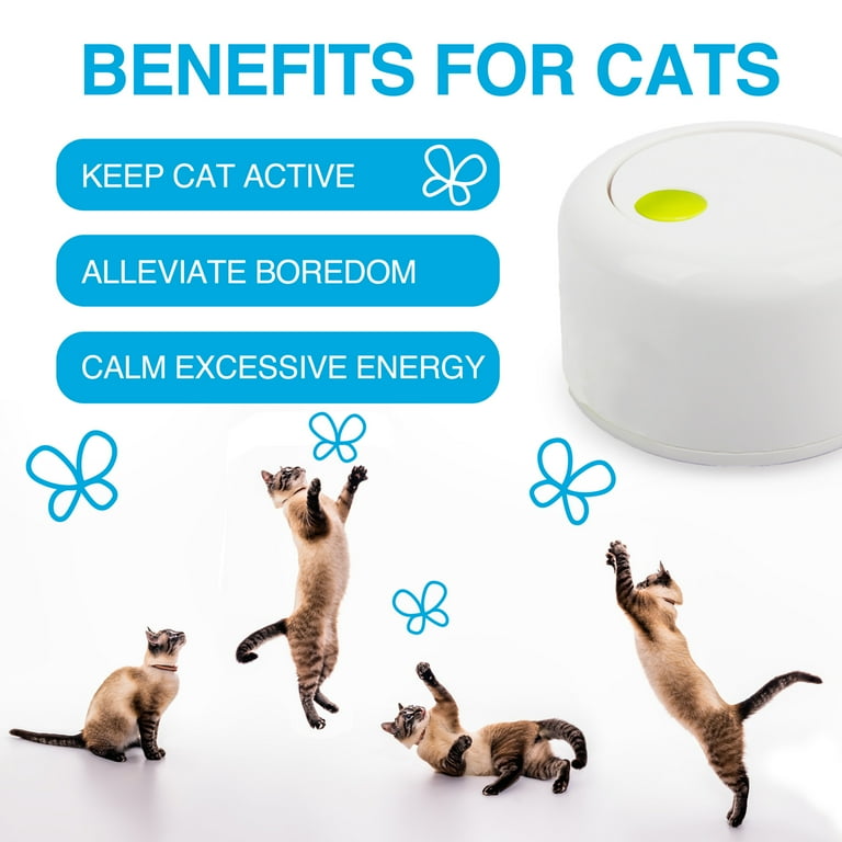 All For Paws Interactive Cat Butterfly Toy with Motion Sensor Kitty Flutter Bug Toy Includes One Butterfly Replacement