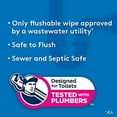 thumbnail image 3 of Cottonelle FreshFeel Flushable Wet Wipes for Adults and Kids, 8 Flip-Top Packs, 42 Wipes per Pack (336 Wipes Total), 3 of 10