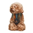 thumbnail image 4 of Naloa Sunset Prairie Meditating Horse Dog Bandanas 1PC Washable Triangle Dog Scarfs Premium Durable Fabric, for Small Medium Large Dogs and Cats, 4 of 6