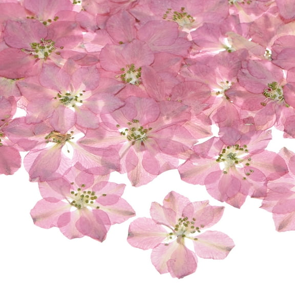 48-Pack Dried Pressed Flowers for Resin, Real Natural Bulk Dry Floral for Crafts/DIY Jewelry/Soap Making/Scrapbooking/Candle/Epoxy Resin Supplies/Photo Frames [Pink]