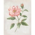 thumbnail image 3 of Nan 12x14 Black Modern Framed Museum Art Print Titled - Grandiflora II, 3 of 5