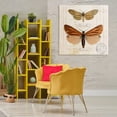 thumbnail image 4 of Stupell Industries Cottage Butterfly Latin Studies Canvas Art, 36 x 36, by Susan Arnot, 4 of 8