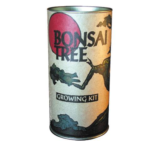 Jonsteen Company Tree Growing Kit Bonsai Tree