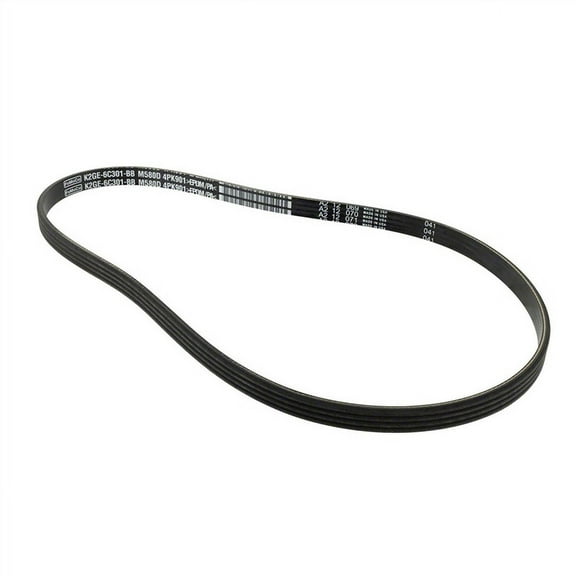 Motorcraft V-BELT (P)