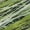 Green, variant on Addison Rugs Mayfield Premium Machine Washable Transitional Stripes Teal Rectangle Rug, 10' x 14'