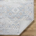 thumbnail image 5 of BoutiqueRugs Agaton Traditional Runner Rug - Machine Washable - Light Blue, Orange, White - 2'7" x 7'3" Runner, 5 of 7