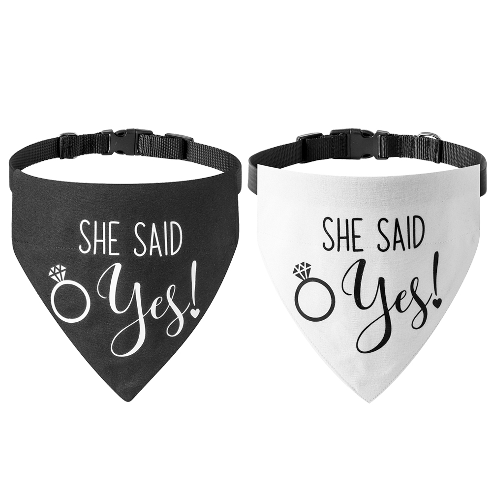 Spazzola Pulizia Vinile E Ago - Set Antistatico In Fibra Di Carbonio Per Dischi E Puntine - Foto 4