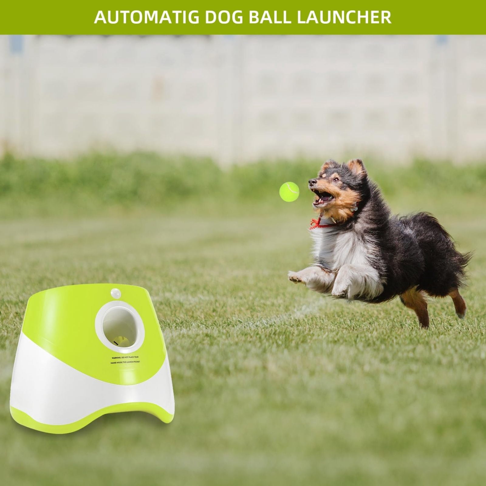 SQDWYGUO Automatic Dog Ball Thrower Launcher with 12 PCS Tennis Balls,Thrower Distance 10-30ft, Interactive Dog Fetch Machine Toy for Small Dogs,New Green