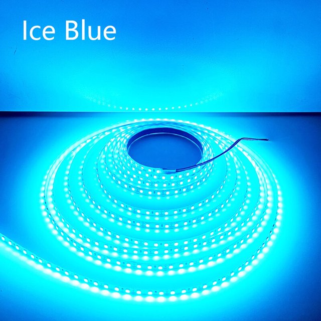 5M 600LEDs tira de LED 2835 DC12V 24V 120LEDs/m tira de lámpara de hogar rojo hielo azul verde amarillo rosa Flexible y barra de lámpara suave cortable Tan Jianjun unisex