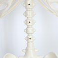 thumbnail image 6 of Cixusio 5.4FT Halloween Skeleton Decorations with Glowing Eyes Full Body Life Size Skeleton with Movable Joints for Halloween Decorations Indoor/Outdoor Haunted Hou, 6 of 19