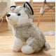 thumbnail image 3 of Lindo perro de peluche de simulación Husky de 30 cm, 3 of 7