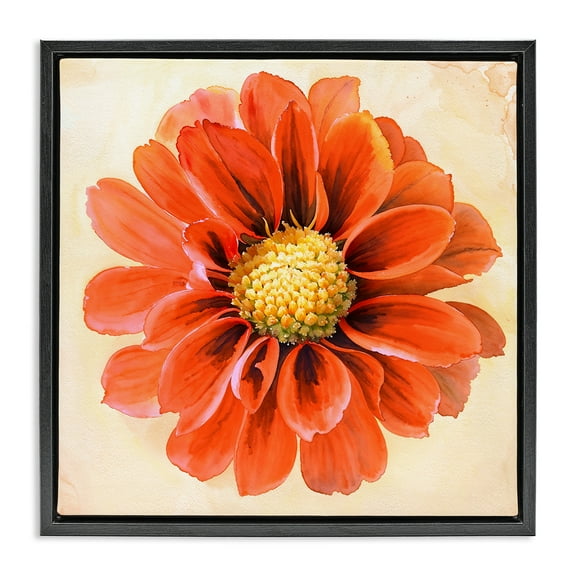 Stupell Industries Orange Dahlia Bloom Plants & Flowers Painting Black Floater Framed Canvas Art Print Wall Art, 18 x 18