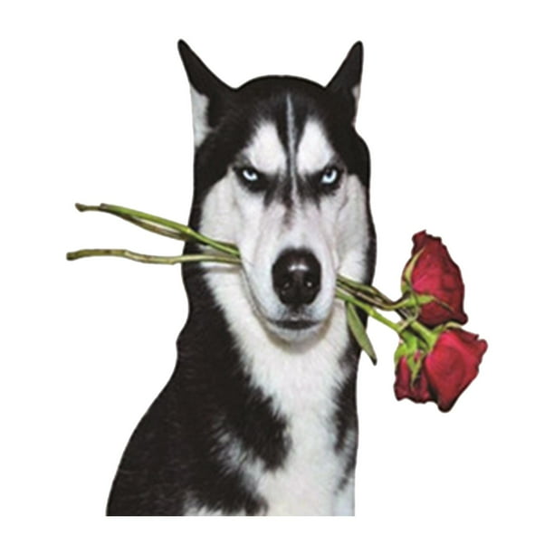 Etiqueta engomada del coche, calcomanías Perro Husky impermeable para la etiqueta engomada del rasguño de del barco Estilo C shamjiam Sticker de carro