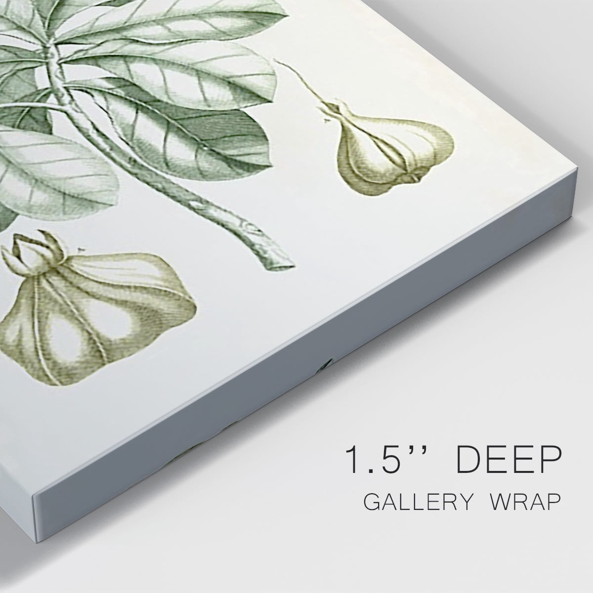 Buchoz Tropicals IX Premium Gallery Wrapped Canvas - Ready to Hang