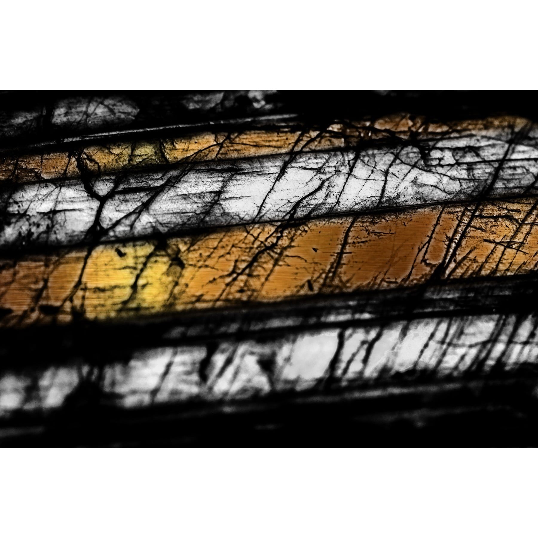 Marmont Hill "Black Threads" Painting Print on Wrapped Canvas
