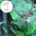 thumbnail image 4 of With Suction Cup Feeding Tube, Shrimp Food Feeding Tube, Shrimp Food Tool For  For Fish, 4 of 8